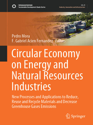 cover image of Circular Economy on Energy and Natural Resources Industries